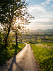 road in the countryside