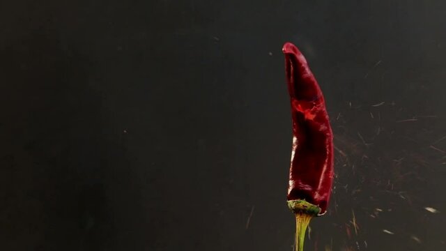 Eine getrocknete Chilishote wird durchschossen