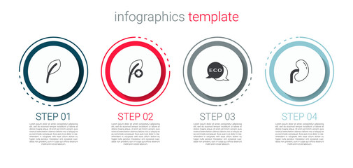 Set Leaf or leaves, , Label for eco healthy food and Human kidney. Business infographic template. Vector