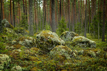 Fototapete bei efototapeten.de bestellen   