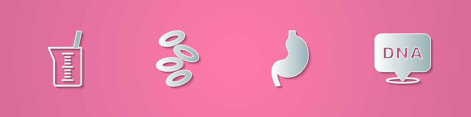 Set paper cut Laboratory glassware or beaker, Hemoglobin, Human stomach and DNA symbol icon. Paper art style. Vector