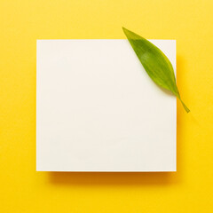 White memo pad with green leaf on yellow background. top view, copy space