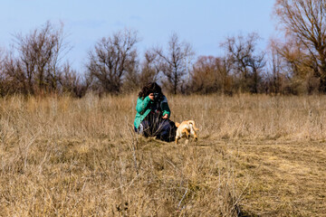 Obraz premium Cute young labrador retriever dog at the meadow on early spring