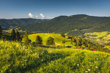 Beskid Sądecki on a warm summer afternoon. Natural views with beautiful landscapes. © PawelUchorczak
