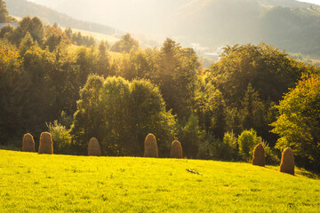 Beskid Sądecki on a warm summer afternoon. Natural views with beautiful landscapes. © PawelUchorczak