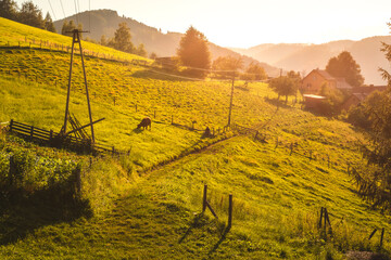 Beskid Sądecki on a warm summer afternoon. Natural views with beautiful landscapes. © PawelUchorczak