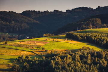 Beskid Sądecki on a warm summer afternoon. Natural views with beautiful landscapes. © PawelUchorczak