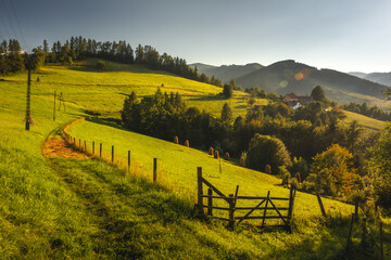 Beskid Sądecki on a warm summer afternoon. Natural views with beautiful landscapes.