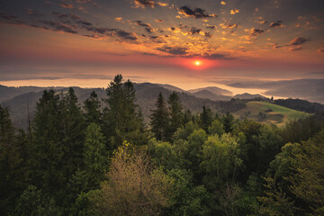 Summer morning seen from the observation tower in Koziarz in the Beskid Sądecki. Natural landscapes with great views.