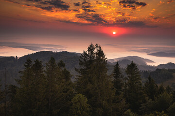 Fototapeta premium Summer morning seen from the observation tower in Koziarz in the Beskid Sądecki. Natural landscapes with great views.
