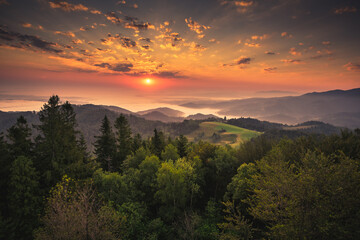 Summer morning seen from the observation tower in Koziarz in the Beskid Sądecki. Natural landscapes with great views.