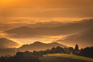 Summer morning seen from the observation tower in Koziarz in the Beskid Sądecki. Natural landscapes with great views.