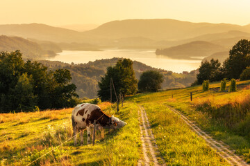Fototapeta premium A warm summer sunset in the Rożnowskie Foothills, near Nowy Sącz. Poland, Lesser Poland Voivodeship.