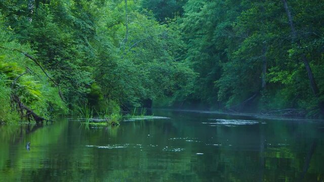 Rafting on the forest river on beautiful sunny summer days. Unique natural locations far from civilization.
Vacation on the forest river.