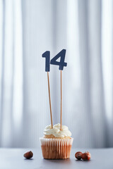 Tasty vanilla birthday cake or cupcake with number 14 fourteen with bright background. Birthday...