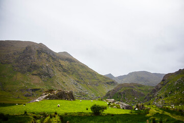 Obraz premium Spring landscape in the lands of Ireland