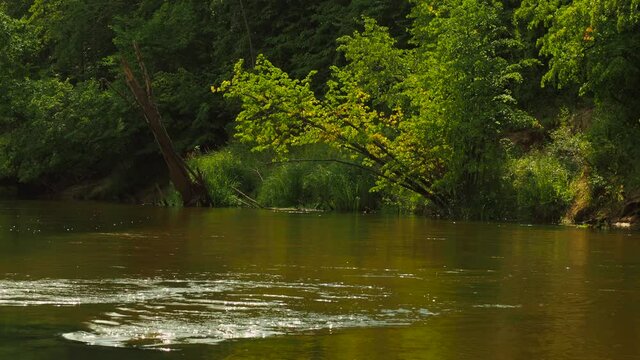 Rafting on the forest river on beautiful sunny summer days. Unique natural locations far from civilization.
Vacation on the forest river.