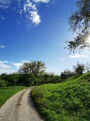 road in the field