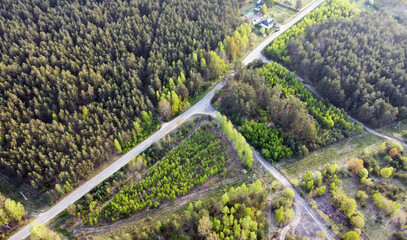 View from a height on the road in the summer forest