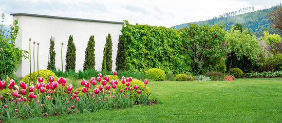 A beautiful garden on a modern white wall. A modern garden in a spring version. A green lawn with a...