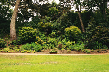 path in the park