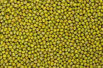Mung beans, background, from above. Also known as green gram, maash, moong, monggo or munggo....
