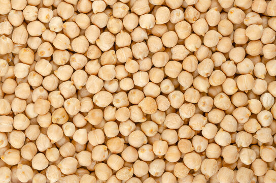 Dried chickpeas, background from above. Whole and light tanned chick peas, a high in protein legume and fruit of Cicer arietinum. Key ingredient in hummus and chana masala. Backdrop. Macro food photo.