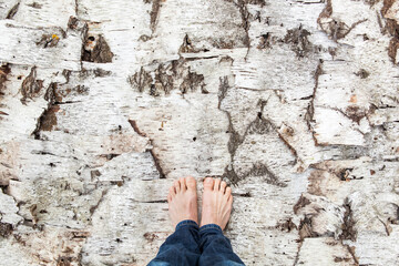 Füße auf Birkenrinde. Natur struktur fühlen. Feet on birch bark. Feel the structure of nature.