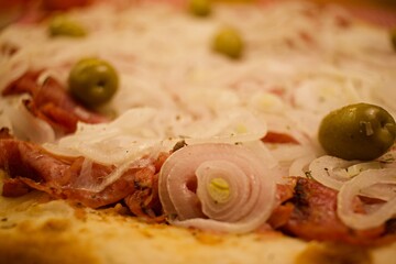 Fototapeta na wymiar pizza brasileira 