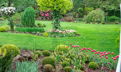 Zielony ogród pełen kwitnących kiatów - obrazy, fototapety, plakaty