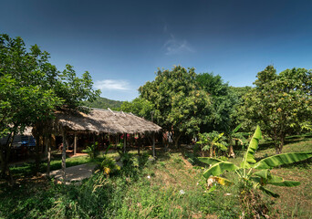 Fototapeta na wymiar traditional bungalow in tropical fruit farm plantation near kampot cambodia