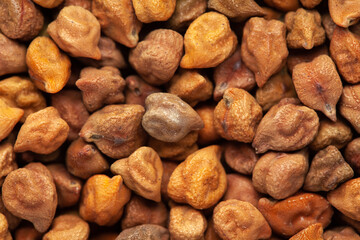 micro Close-Up of Organic chana or chickpea (Cicer arietinum) or whole white Bengal gram Full-Frame Background. Top View