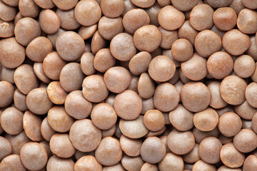 micro Close-Up of Organic masoor dal (Lens culinaris) or whole brown dal  Full-Frame Background. Top View 