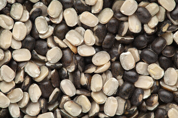 micro Close up of Organic split black urad dal (Vigna mungo) with shell Full-Frame Background. Top View