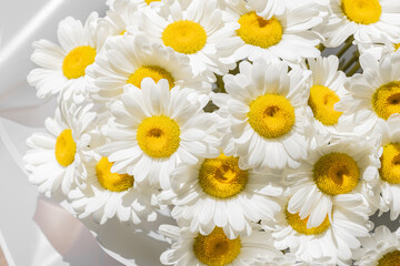 large bouquet of daisies 