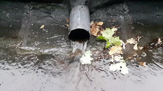Close-up of water flowing out of drain pipe during a rain shower