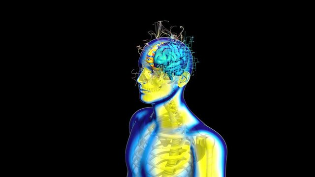 Abstract background of Xray Man walking with left and right Brain