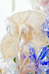 Frozen orchids inside the ice block