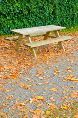 Wooden picnic table in a public park with dry leaves on the ground