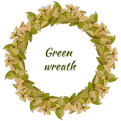 Fototapeta premium Green leaf wreath cut out on a white background. Vector botanical illustration of mint and melissa leaves.
