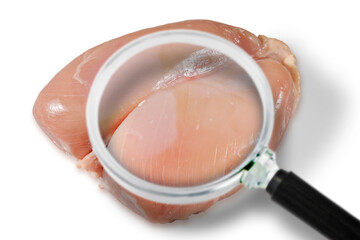 Fresh chicken meat  HACCP (Hazard Analyses and Critical Control Points) concept with magnifying glass - Food Safety and Quality Control in food industry