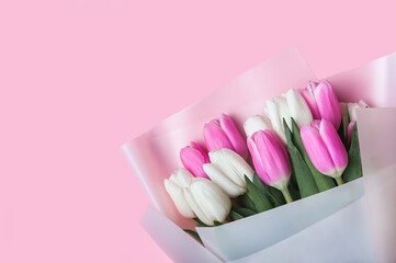 Spring background card Pink and white tulips in pastel pink background close-up. Fresh flowers for horizontal flower poster, wallpaper or postcard. Easter banner, greeting card. Copy space