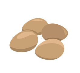 Chicken eggs, food vector illustration