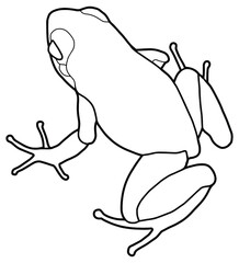 Dart frog. Coloring page. Black outline.