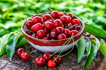 Fresh sour cherries in a wooden bowl and green leaves on the board. Fresh ripe sour...
