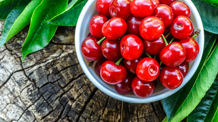 Fresh sour cherries in a wooden bowl and green leaves on the board. Fresh ripe sour cherries.Cherries in a dish closeup.Food background.