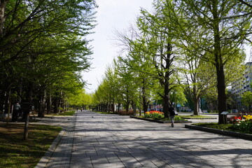 札幌市中島公園