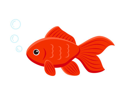 recommend clip art: goldfish aquarium fish
