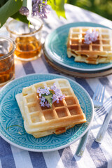breakfast in the garden