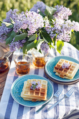 breakfast in the garden